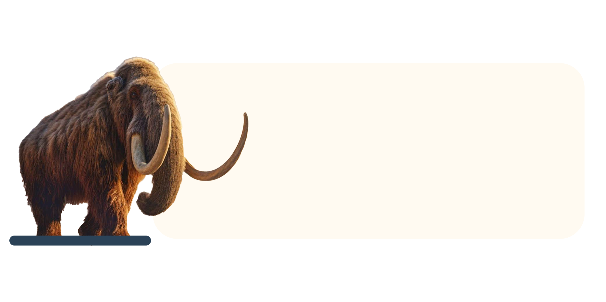 afbeelding3